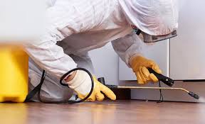 Professional Pest Control in Cypress, CA